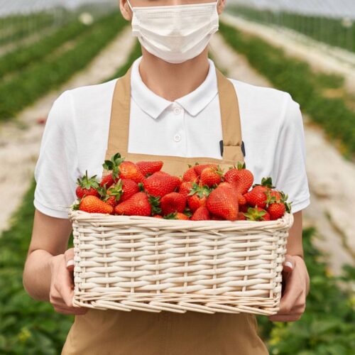 Discover the Health Benefits of Sesame Oil: Nature’s Golden Elixir